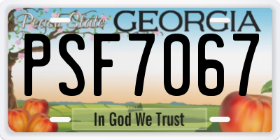 GA license plate PSF7067