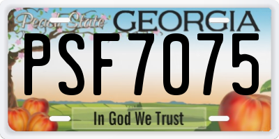 GA license plate PSF7075
