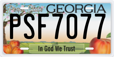 GA license plate PSF7077