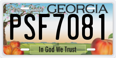 GA license plate PSF7081