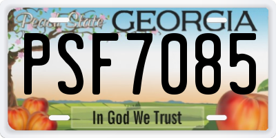 GA license plate PSF7085