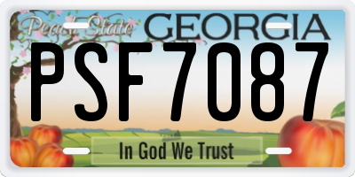GA license plate PSF7087