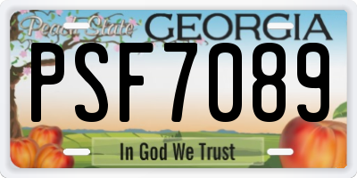 GA license plate PSF7089