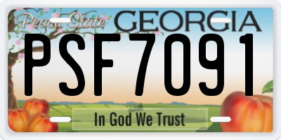GA license plate PSF7091