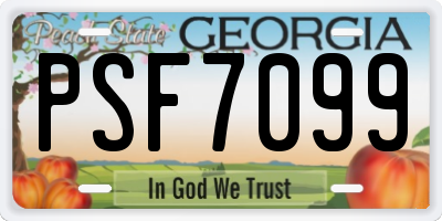 GA license plate PSF7099