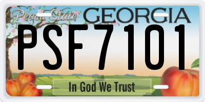 GA license plate PSF7101