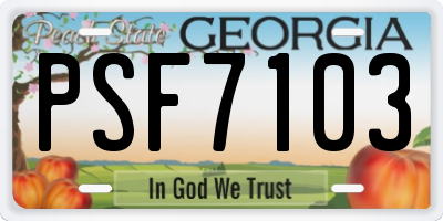 GA license plate PSF7103