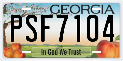 GA license plate PSF7104