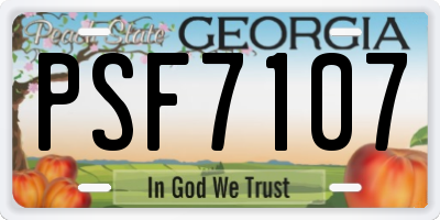 GA license plate PSF7107