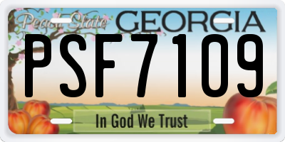 GA license plate PSF7109