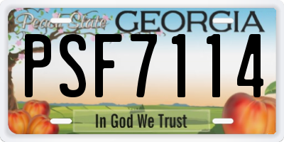 GA license plate PSF7114