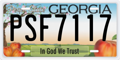 GA license plate PSF7117
