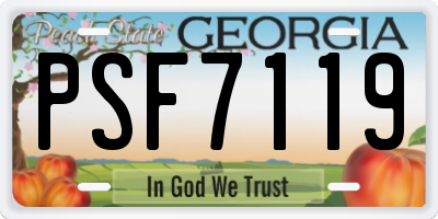 GA license plate PSF7119