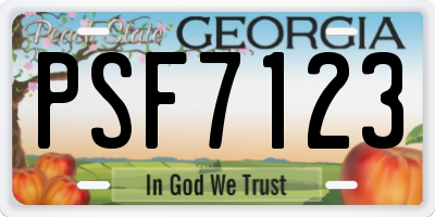 GA license plate PSF7123