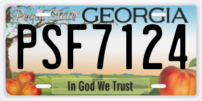 GA license plate PSF7124