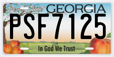 GA license plate PSF7125