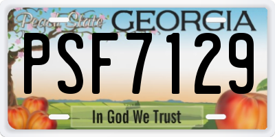 GA license plate PSF7129