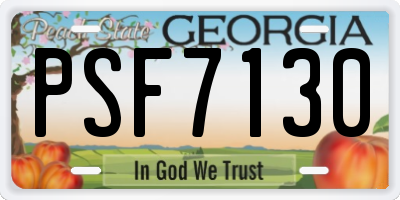 GA license plate PSF7130