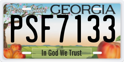 GA license plate PSF7133