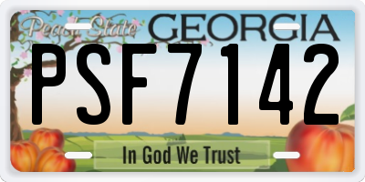 GA license plate PSF7142