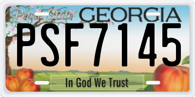 GA license plate PSF7145