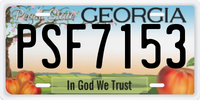 GA license plate PSF7153