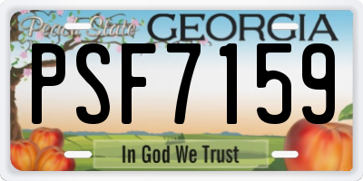 GA license plate PSF7159
