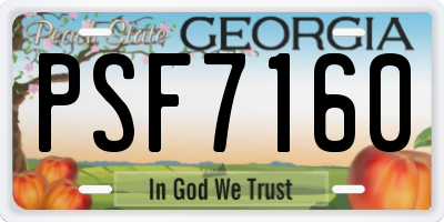 GA license plate PSF7160