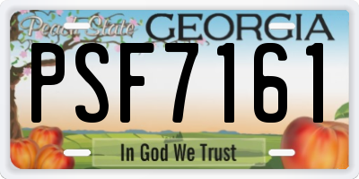 GA license plate PSF7161