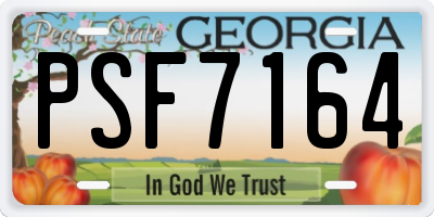 GA license plate PSF7164