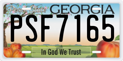 GA license plate PSF7165