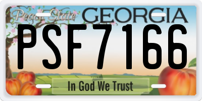 GA license plate PSF7166