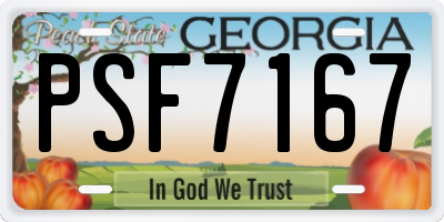 GA license plate PSF7167