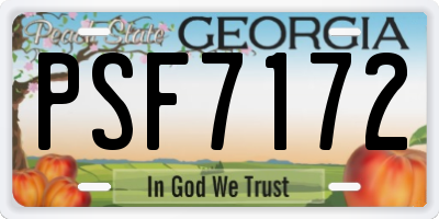 GA license plate PSF7172
