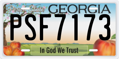 GA license plate PSF7173