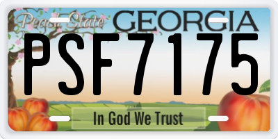 GA license plate PSF7175