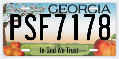 GA license plate PSF7178