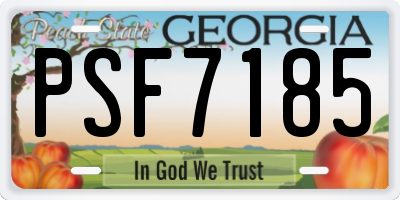 GA license plate PSF7185