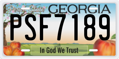 GA license plate PSF7189