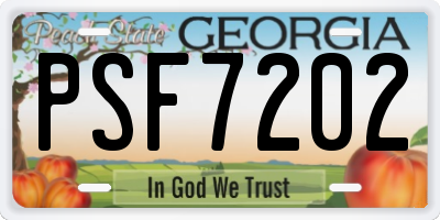 GA license plate PSF7202