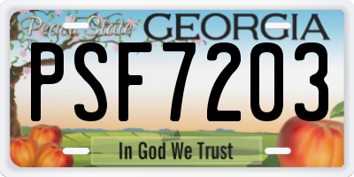 GA license plate PSF7203