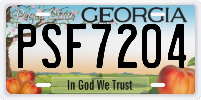 GA license plate PSF7204