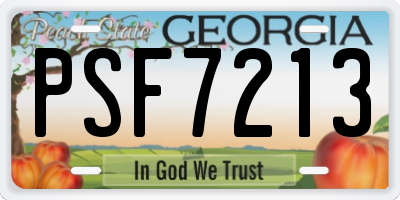 GA license plate PSF7213