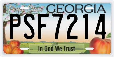 GA license plate PSF7214