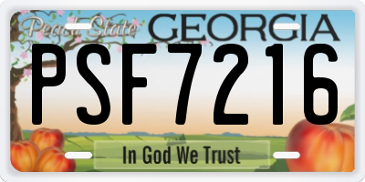 GA license plate PSF7216