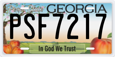 GA license plate PSF7217