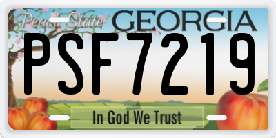 GA license plate PSF7219