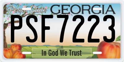 GA license plate PSF7223
