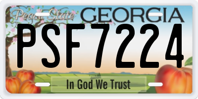 GA license plate PSF7224