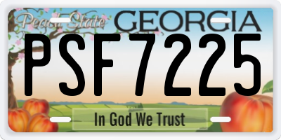 GA license plate PSF7225